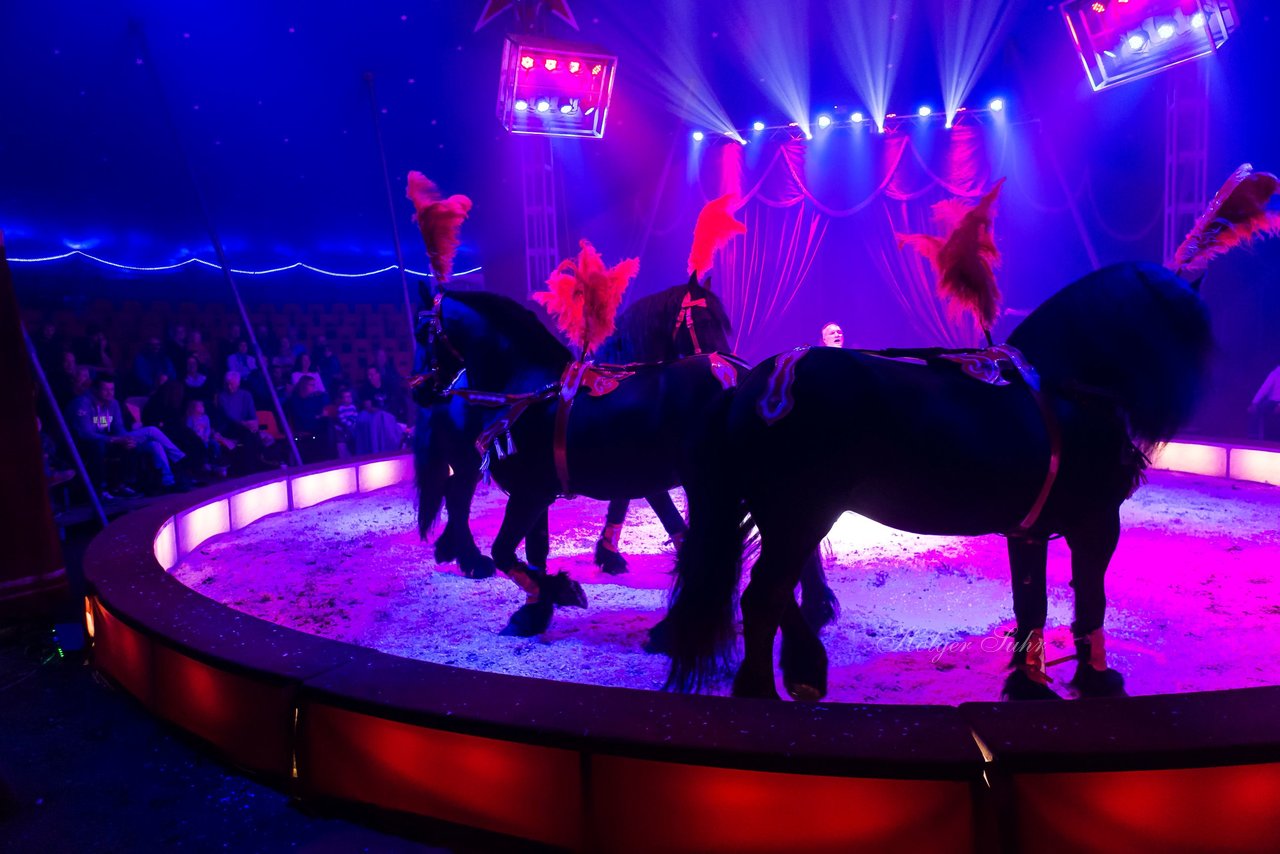 Bild 83 - Circus Europa